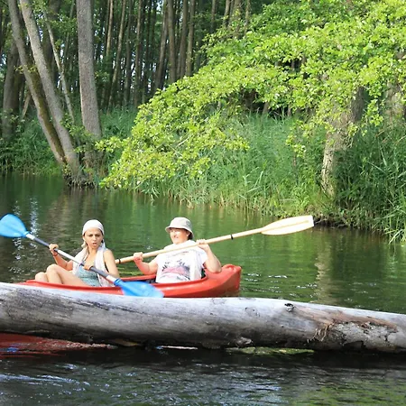 Palac Mysliwski Orle Solutions 4* Miroslawiec