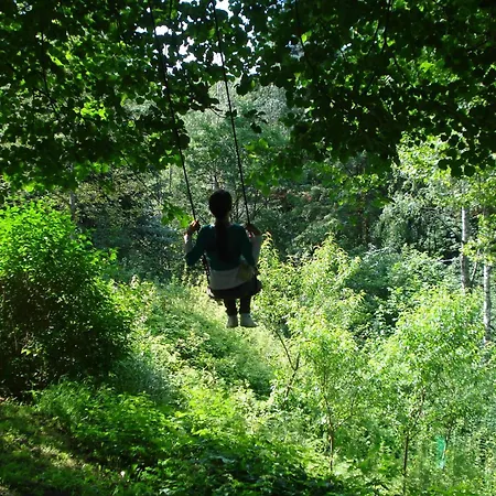 Bed & Breakfast Palac Mysliwski Orle Solutions 4*