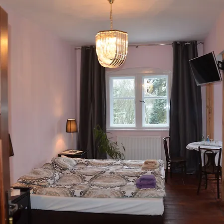 Bed & Breakfast Palac Mysliwski Orle Solutions 4*