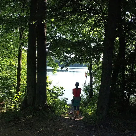 Palac Mysliwski Orle Solutions Miroslawiec