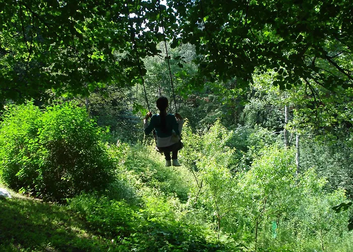 Bed & Breakfast Palac Mysliwski Orle Solutions 4*