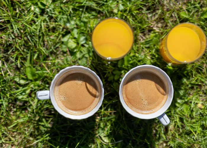 Palac Mysliwski Orle Solutions