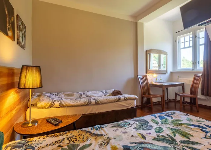 Palac Mysliwski Orle Solutions