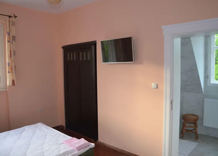 Bed and breakfast Palac Mysliwski Orle Solutions 4*