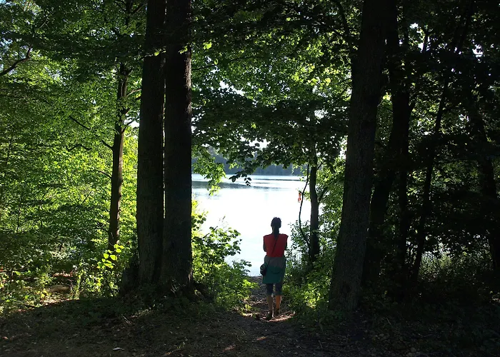 Palac Mysliwski Orle Solutions Mirosławiec