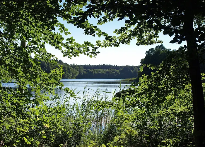 Palac Mysliwski Orle Solutions Bed and breakfast